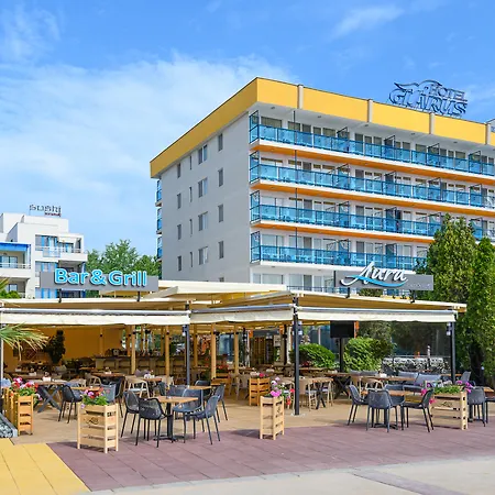 гларус Слънчев бряг